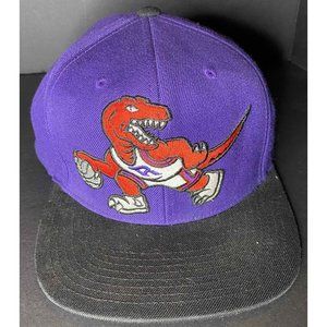 Mitchell & Ness Toronto Raptors NBA Core Basic Snapback Hat Cap Purple